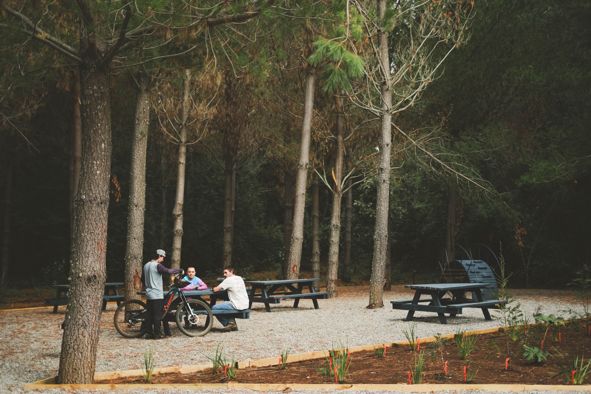 Zona de picnic