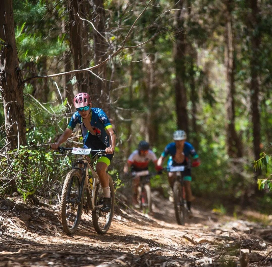 Araucanía Mountain bike tour