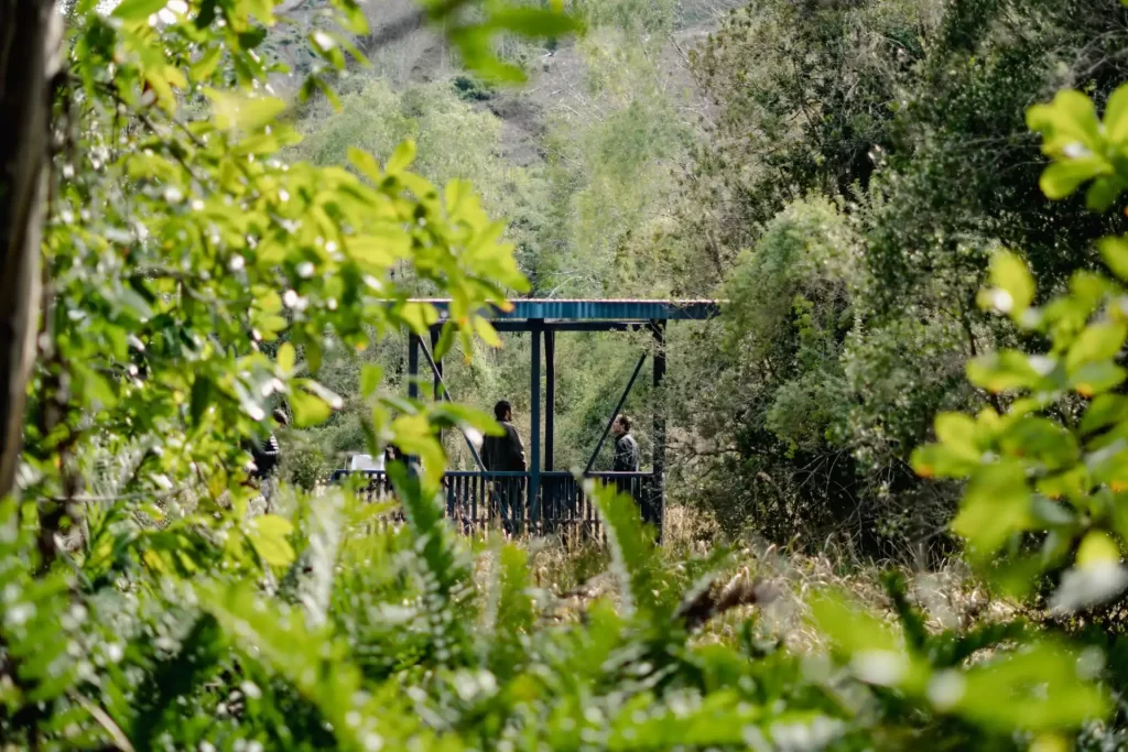 Horario de apertura de los parques este fin de año