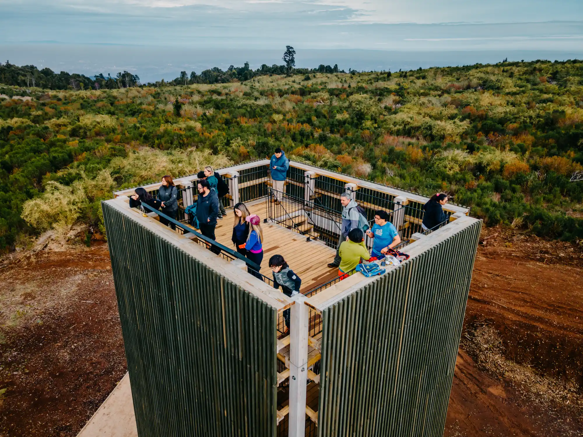 Comunidad Bosque Vivo
