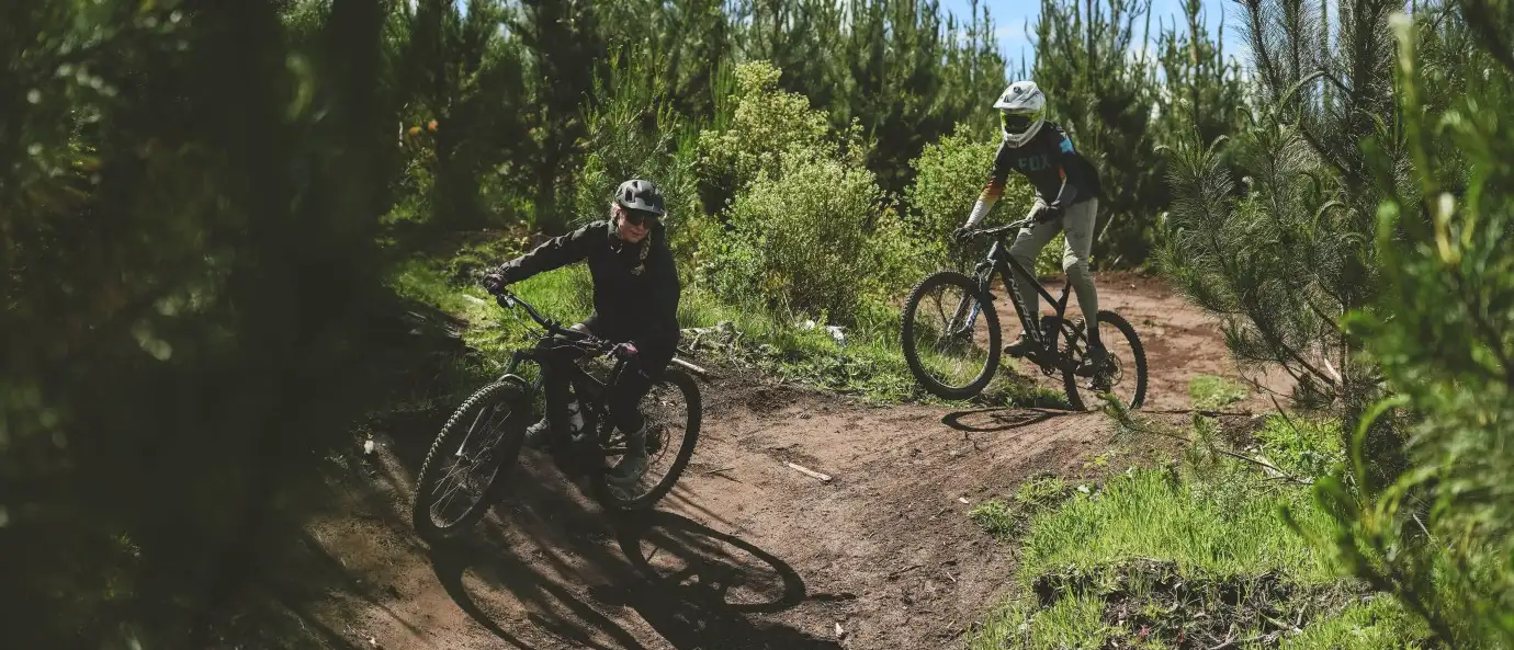 Comunidad Bosque vivo cmpc