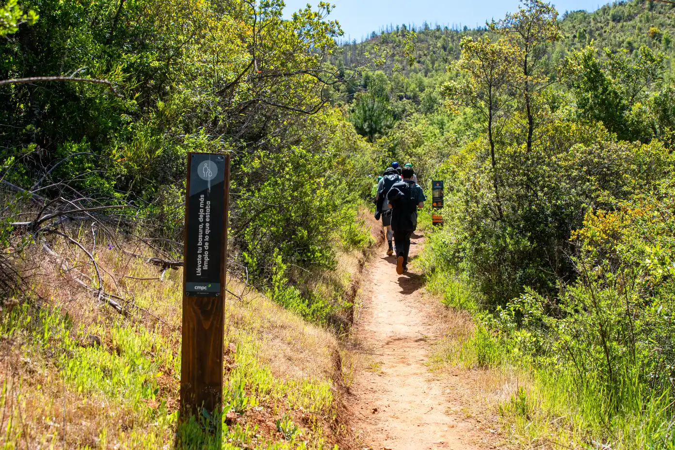 Conservacion y Restauracion Bosque