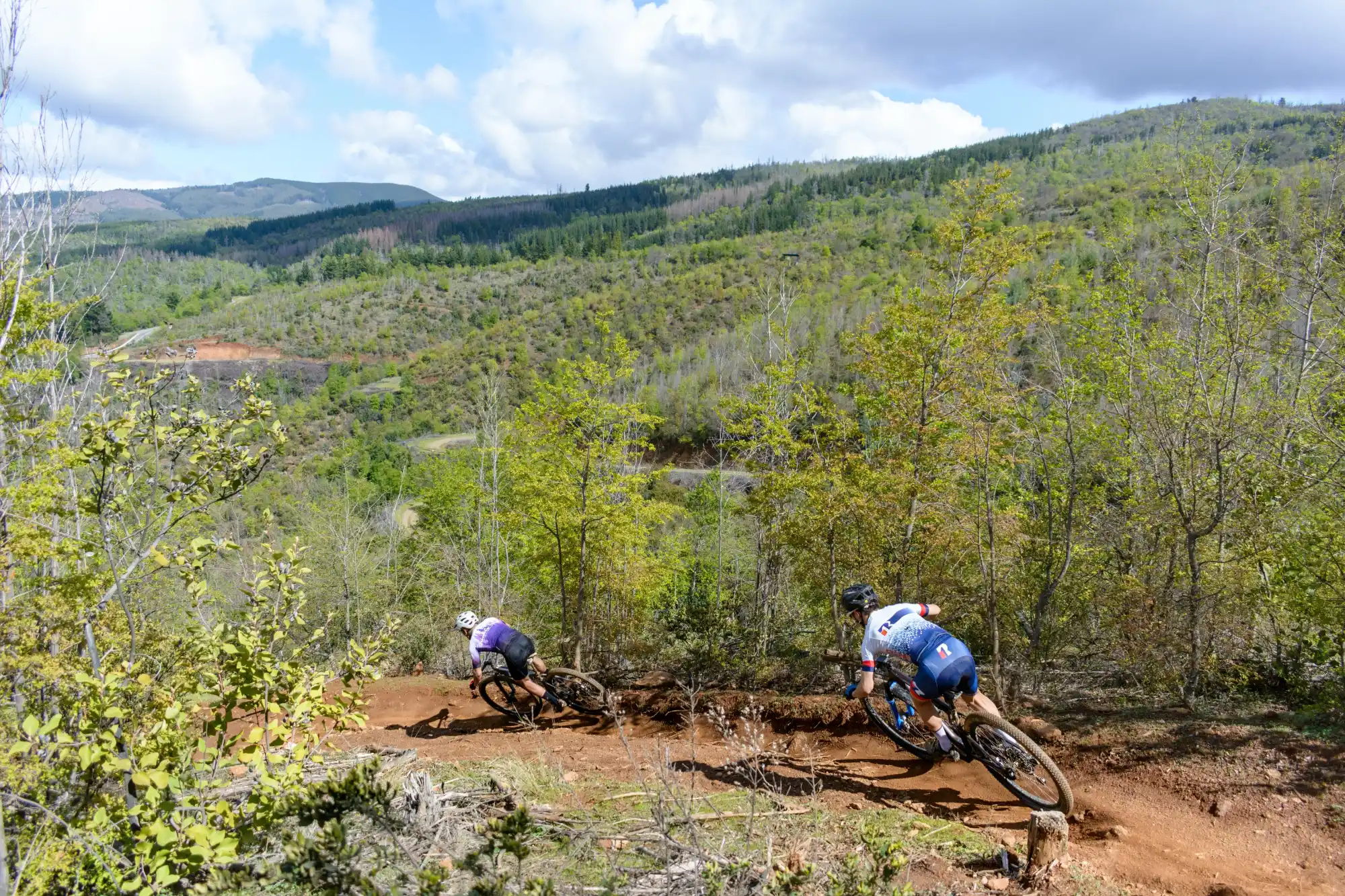 Deporte y Recreación Bosque Vivo