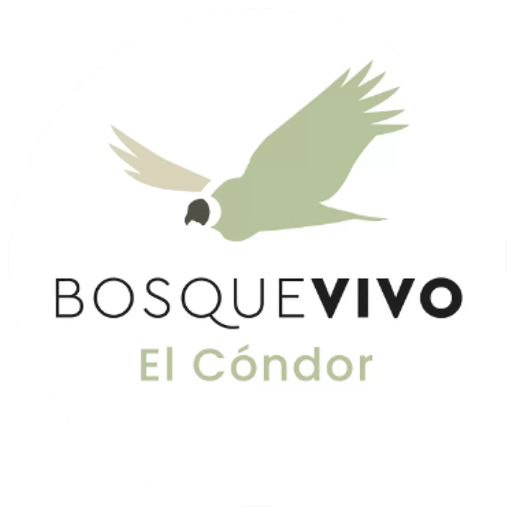 Bosque Vivo El Condor 1