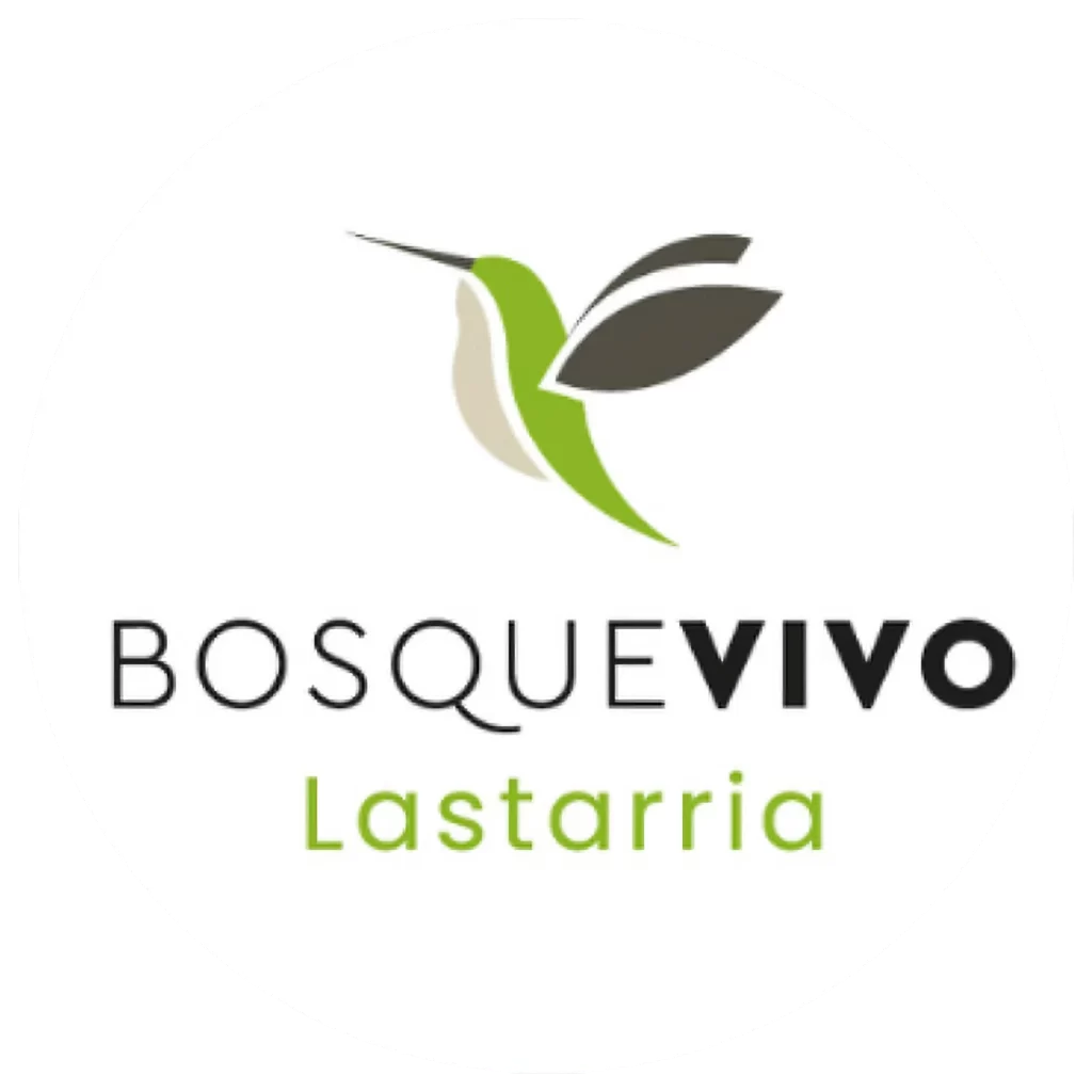 Bosque Vivo Lastarria 1