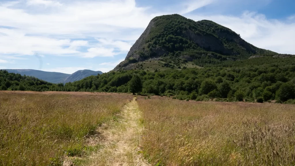 Parque CMPC El Cóndor