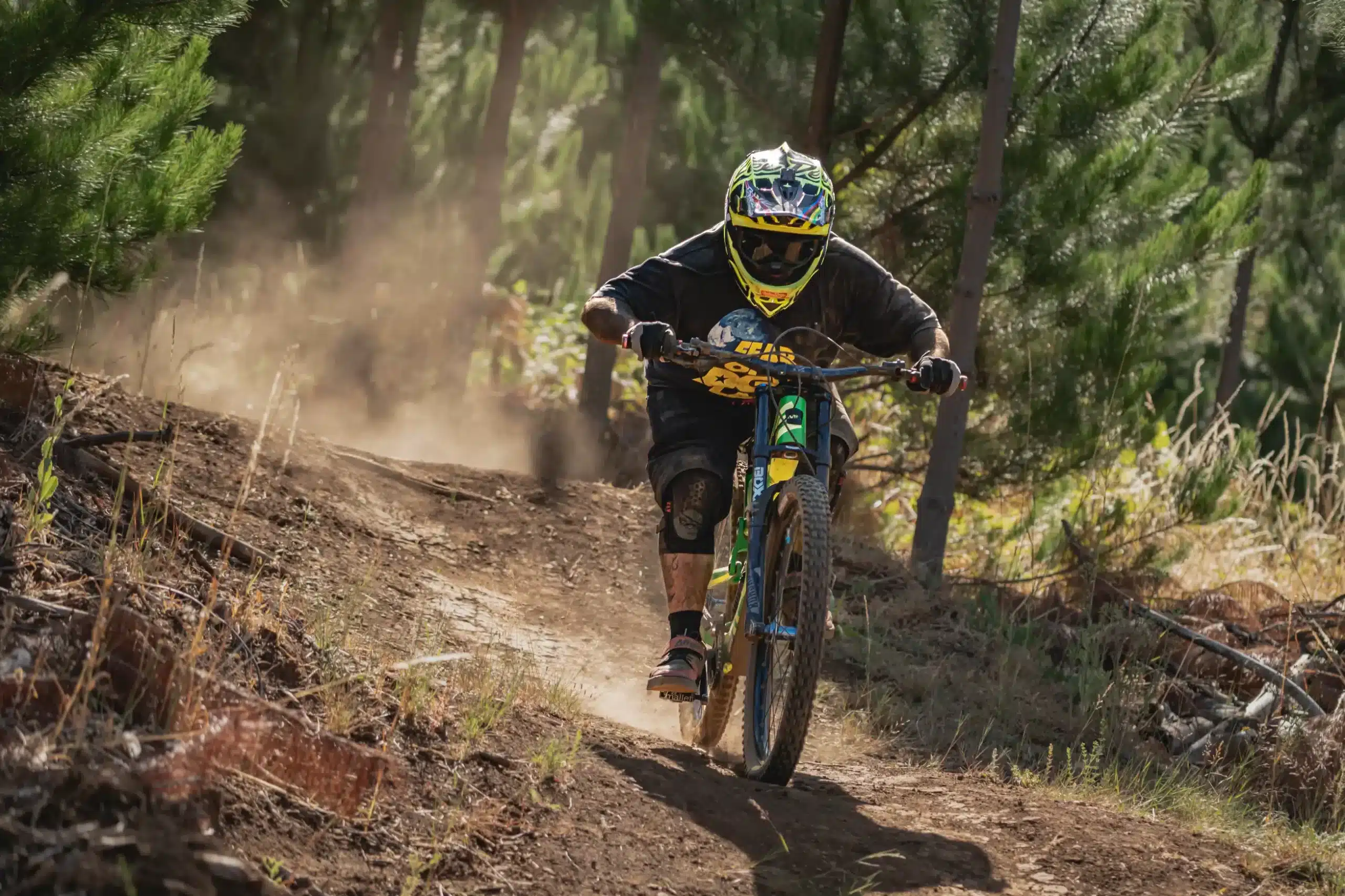 Parque CMPC Pumalal MTB