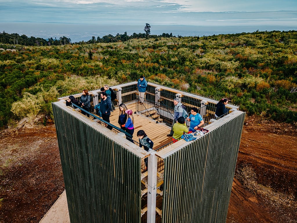 Torre Mirador Parque CMPC Pumalal