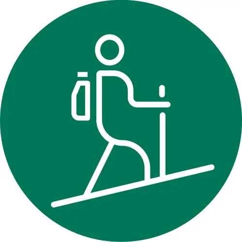 Sendero Bosque Vivo Trekking Dificultad Fácil