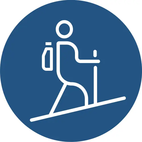 Sendero Bosque Vivo Trekking Dificultad Media