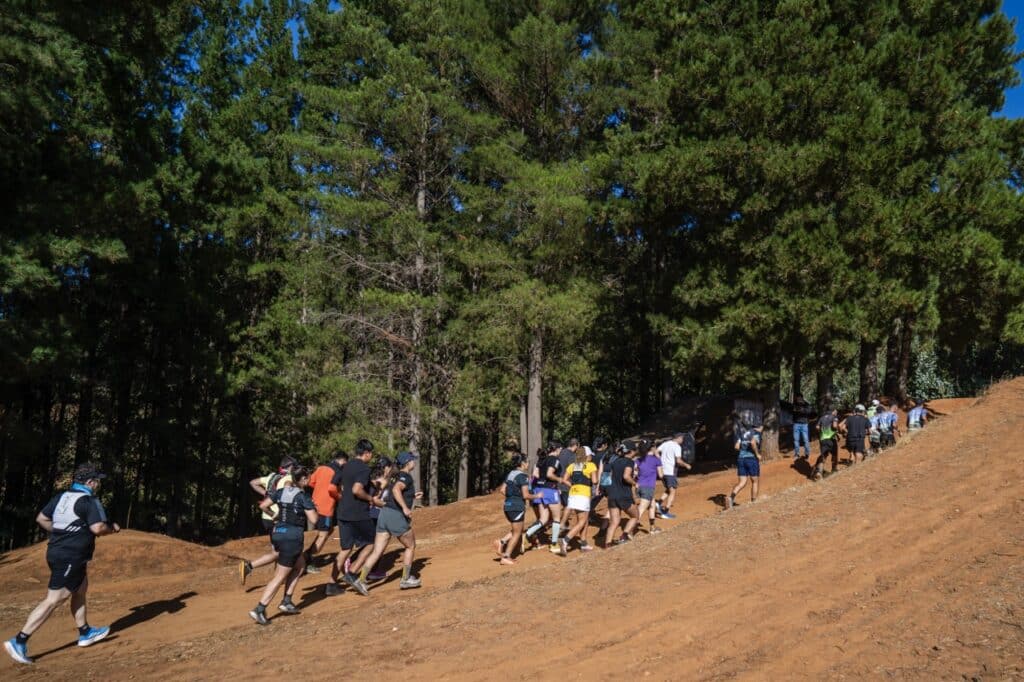 Fotografia 15 de tamano grande