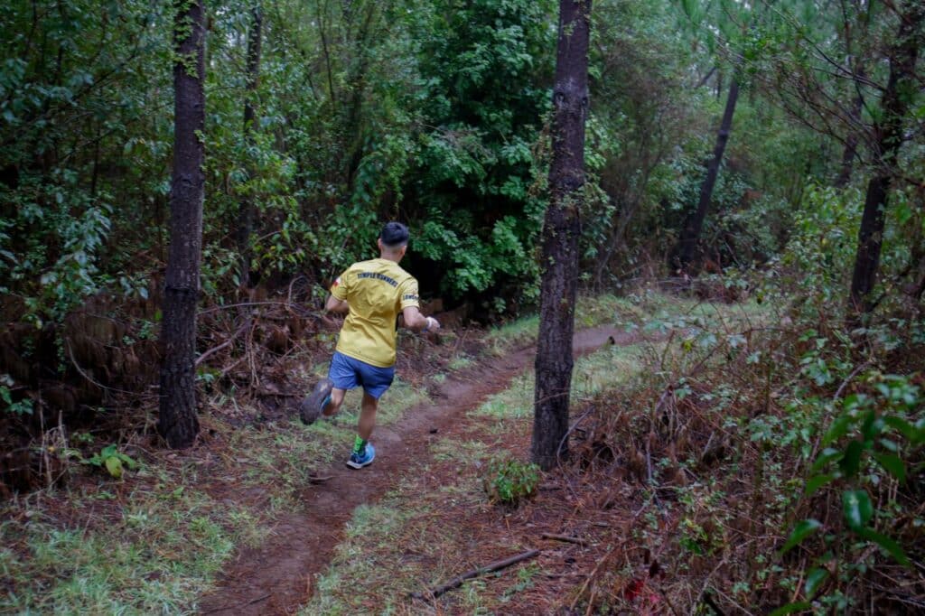 Actividades en los Parques CMPC durante octubre 9 actividades