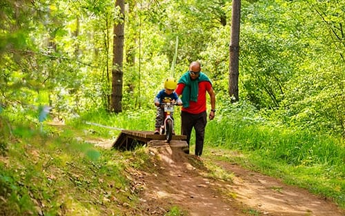Actividades de diciembre en los Parques Bosque Vivo CMPC 1 actividades diciembre