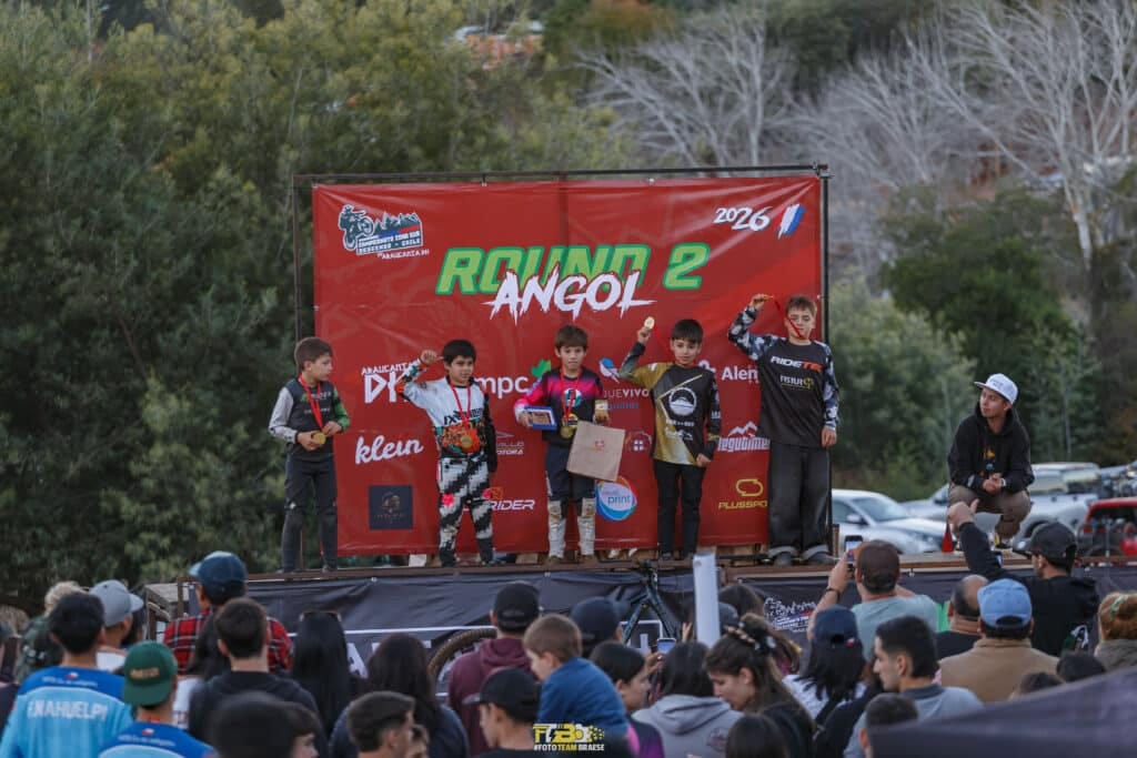 Araucanía DH