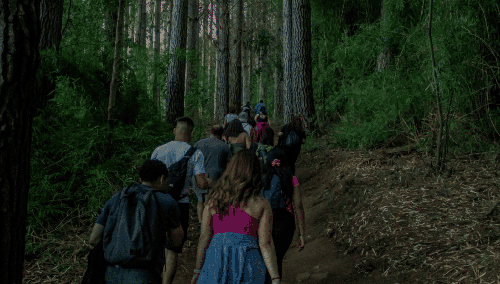 Actividades de agosto en Bosque Vivo CMPC con panoramas familiares, trekking, entrenamiento y trail running.