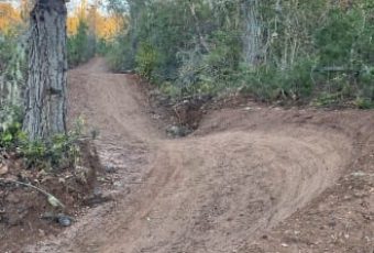 Pista Güiña Bosque Vivo CMPC Junquillar