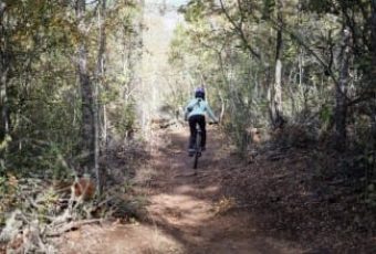 Pista Quality Bosque Vivo CMPC