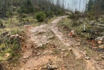 Pista Vertical Parque CMPC Bosque Vivo