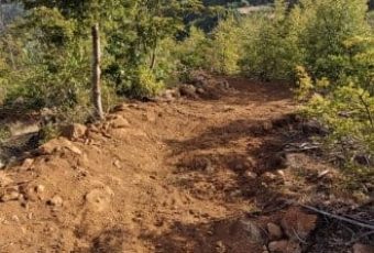 Pista Zorro Bosque Vivo CMPC