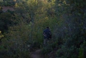 Sendero Hornos Bosque Vivo CMPC Junquillar