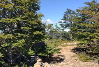 WhatsApp Image 2025-09-30 at 14.46.17